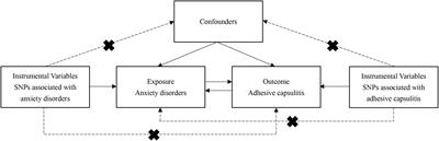 Anxiety disorders and adhesive capsulitis: a bidirectional Mendelian randomization study